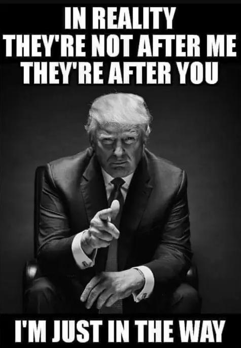 In reality they are not after me. They are after YOU!. I'm just in the way.